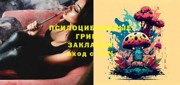 стафф Алзамай