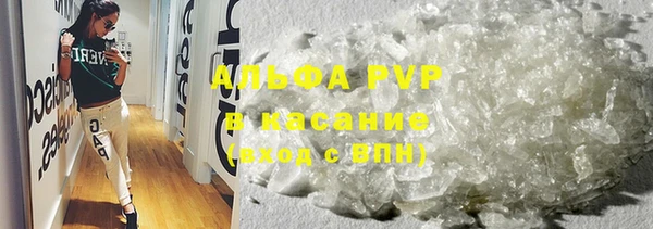 стафф Алзамай