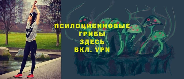 стафф Алексеевка