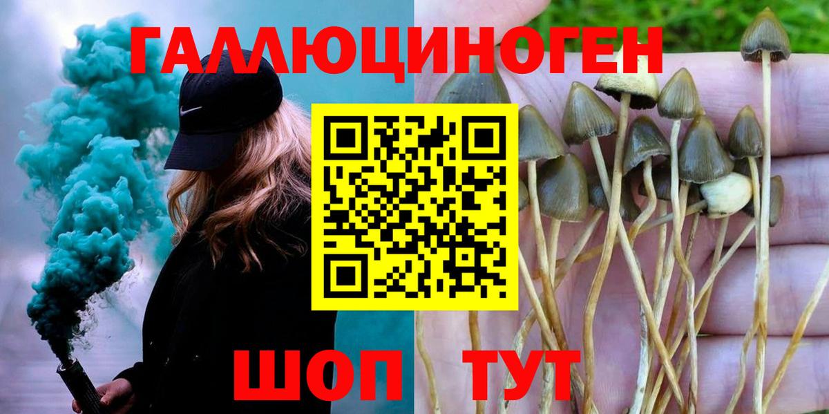 Галлюциногенные грибы Cubensis  Вход с VPN  Псилоцибиновые грибы Cubensis  Саянск 